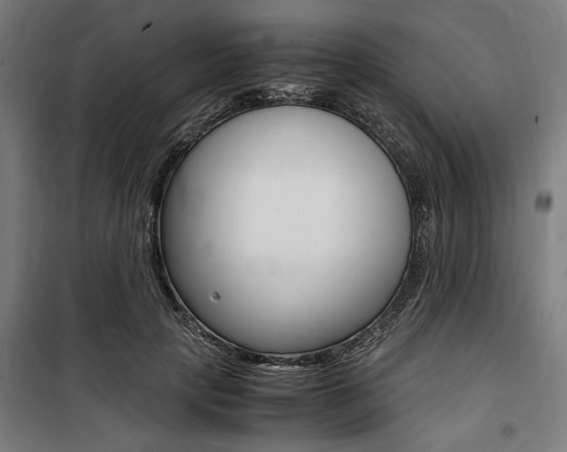 X0000100860649200806200839