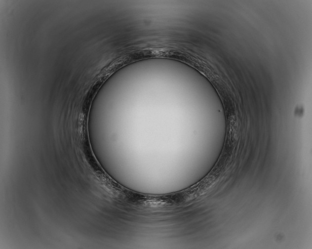 X0000100860650200806200839