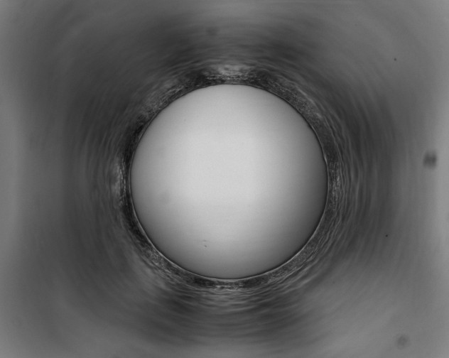 X0000100860651200806200839