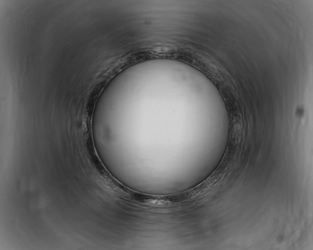 X0000100860654200806200839