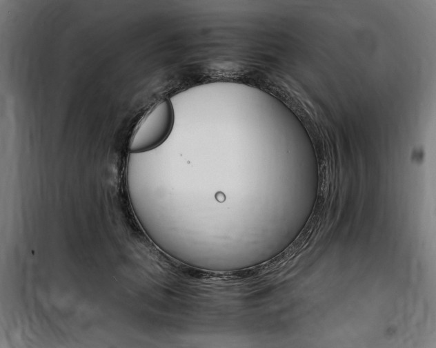 X0000100860655200806200839