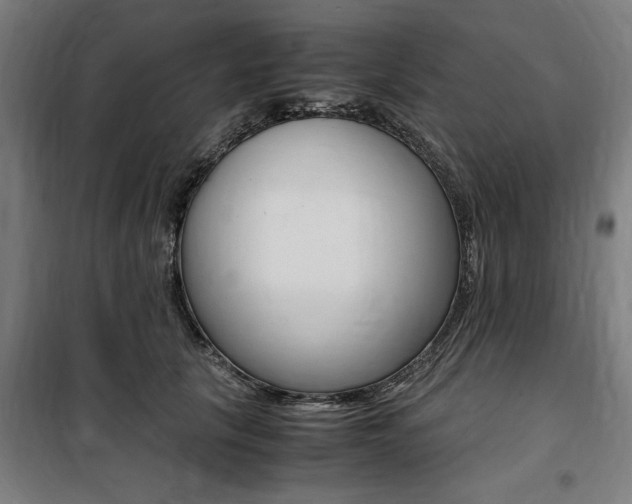 X0000100860657200806200839
