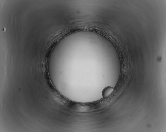 X0000100860658200806200839