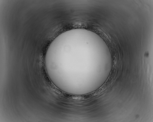 X0000100860659200806200839