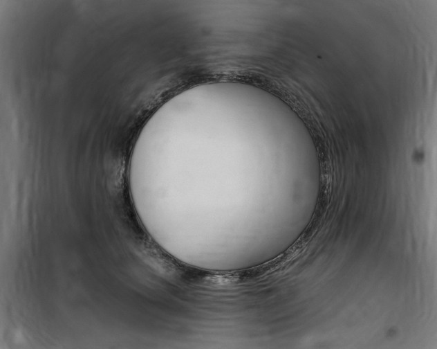 X0000100860660200806200839