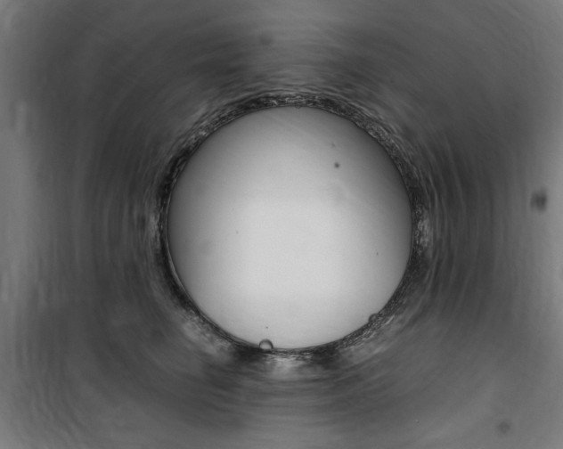 X0000100860662200806200839