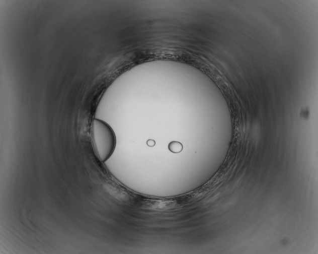 X0000100860663200806200839