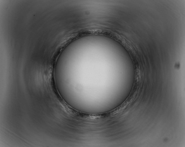 X0000100860664200806200839