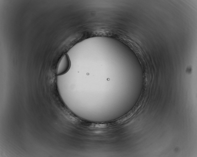 X0000100860665200806200839