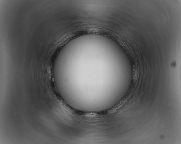 X0000100860666200806200839