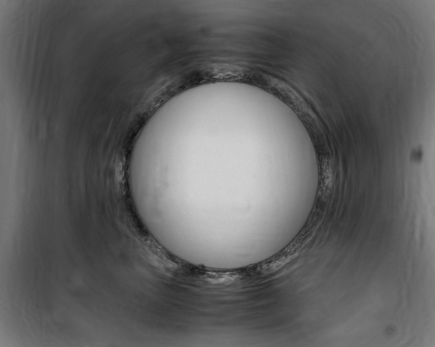 X0000100860667200806200839