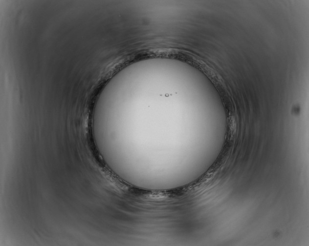 X0000100860668200806200839