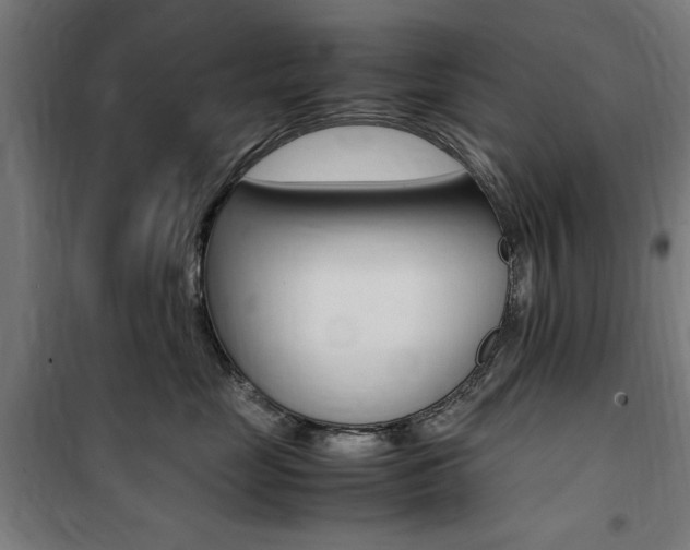 X0000100860669200806200839