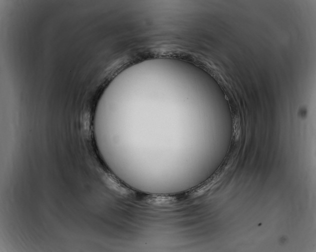 X0000100860670200806200839