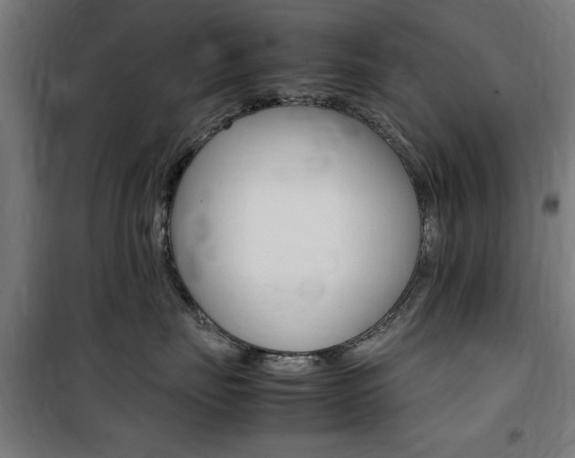 X0000100860671200806200840