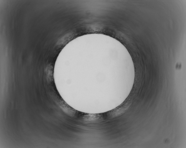 X0000100860672200806200840