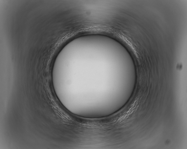 X0000100860673200806200839