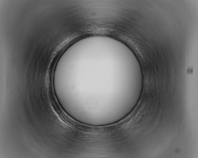 X0000100860674200806200839