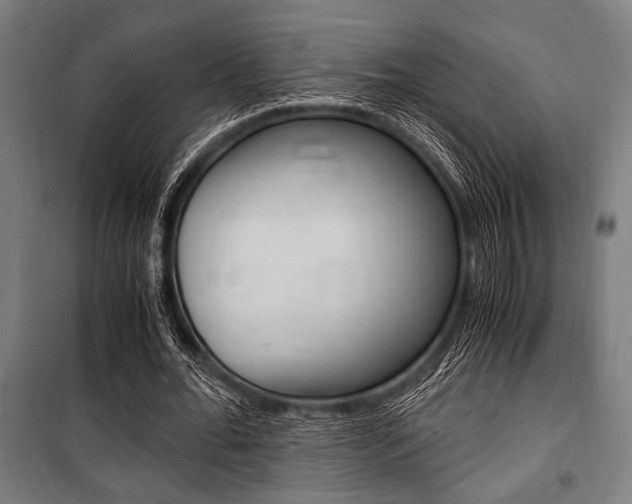 X0000100860676200806200839
