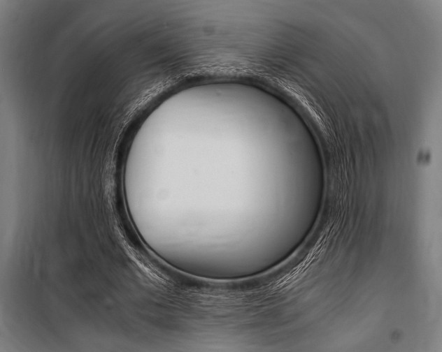 X0000100860677200806200839
