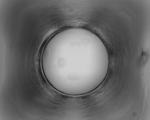 X0000100860679200806200839