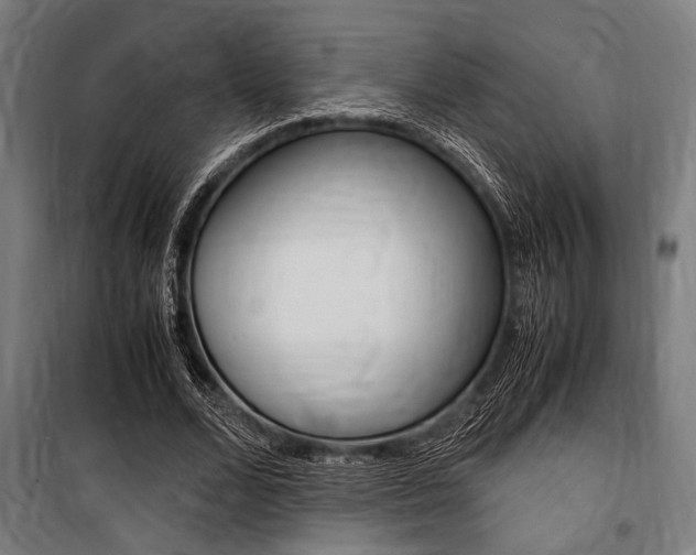 X0000100860680200806200839