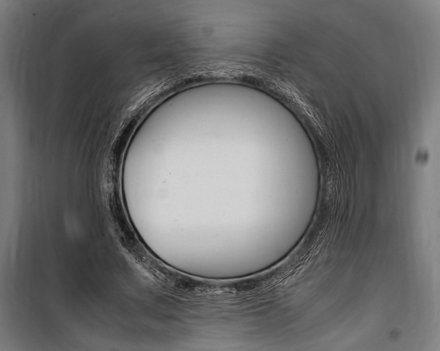 X0000100860683200806200839