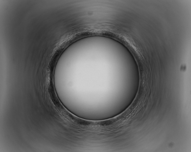 X0000100860685200806200839