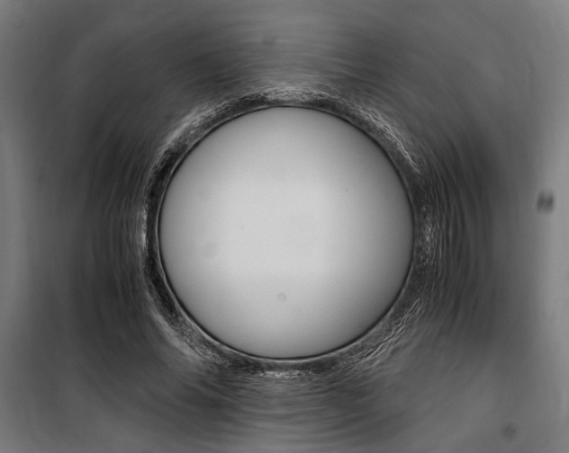 X0000100860686200806200839