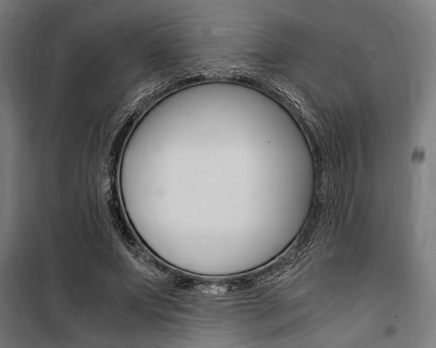 X0000100860687200806200839