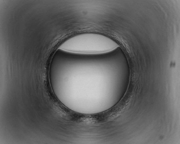 X0000100860689200806200839