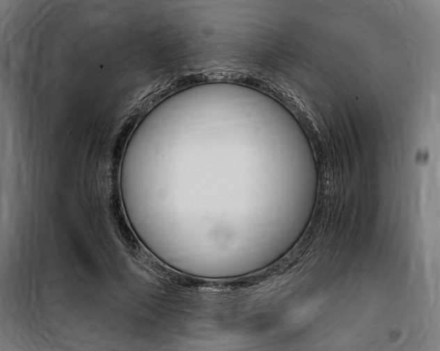 X0000100860690200806200839