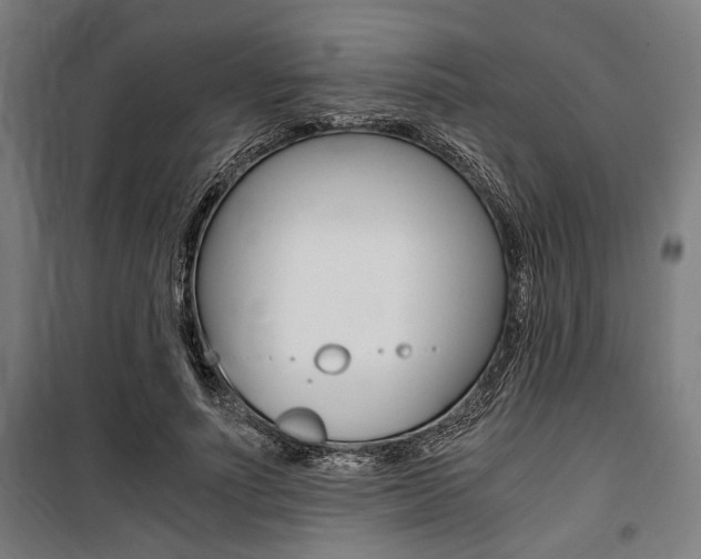 X0000100860691200806200839