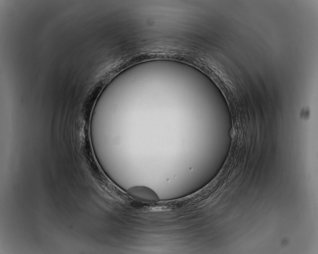 X0000100860692200806200839