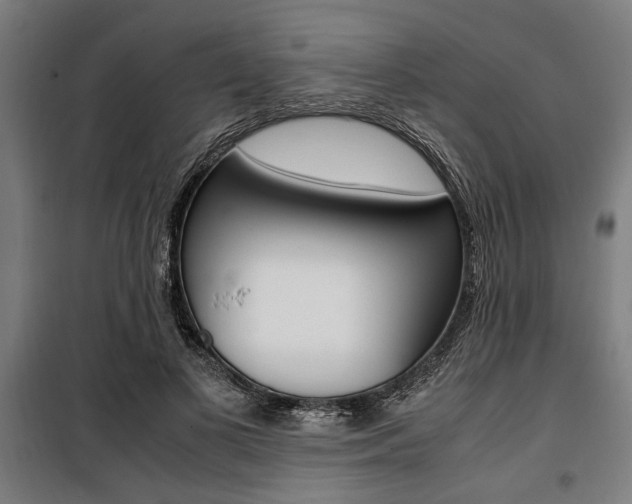 X0000100860693200806200839