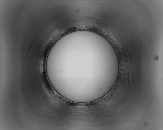 X0000100860694200806200839