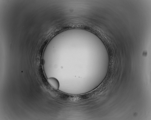 X0000100860695200806200839