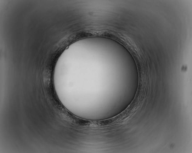 X0000100860697200806200838