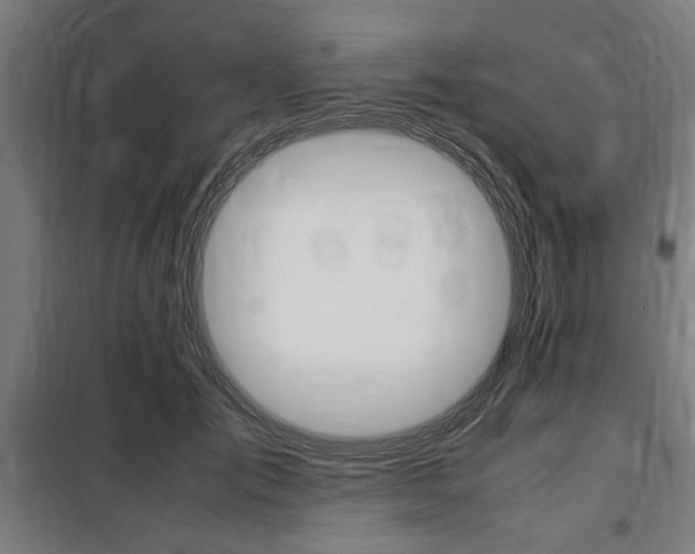 X0000100860701200806200838