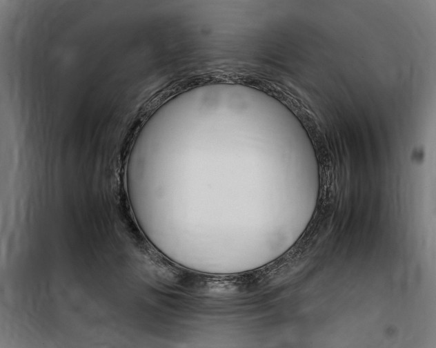 X0000100860702200806200838