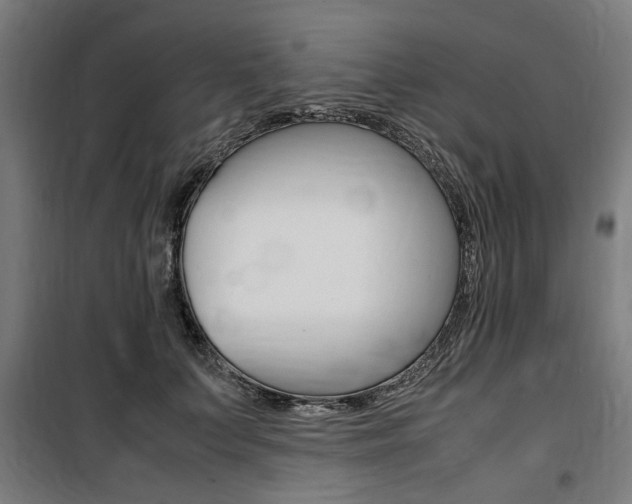 X0000100860703200806200838