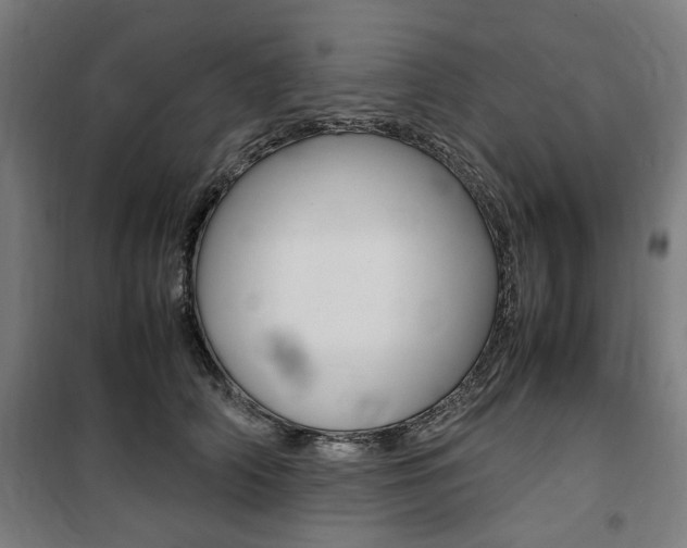 X0000100860706200806200838