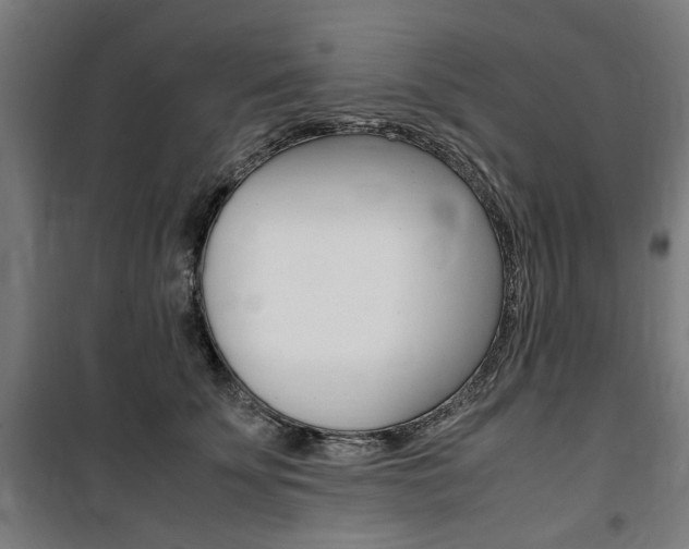 X0000100860707200806200838