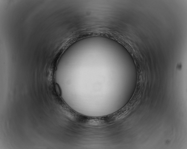 X0000100860708200806200838