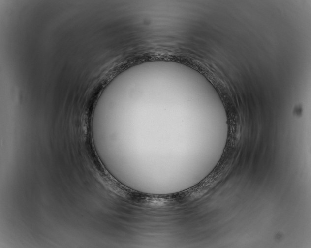 X0000100860710200806200838