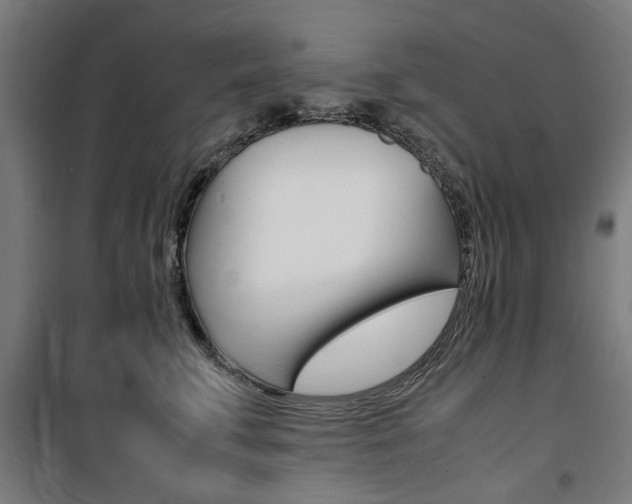 X0000100860711200806200838