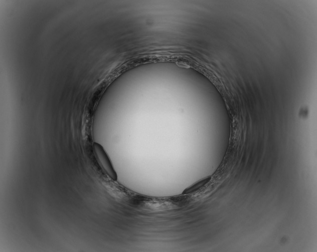 X0000100860712200806200838