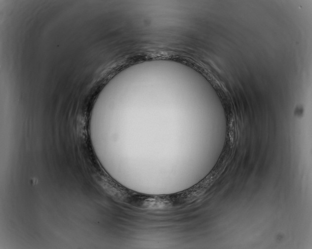 X0000100860714200806200838