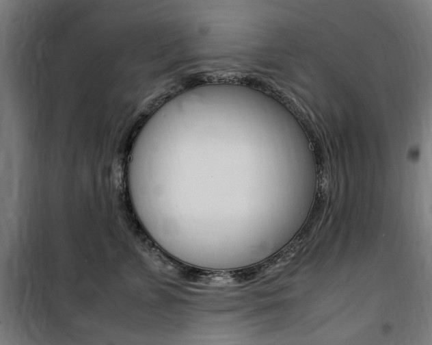 X0000100860715200806200838