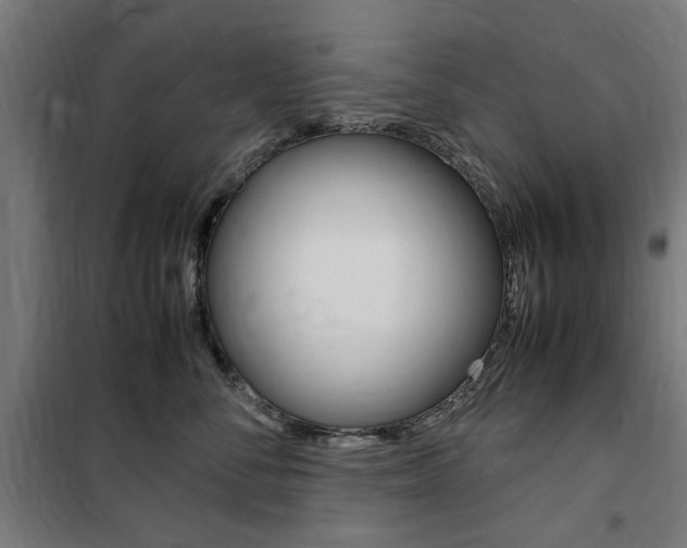 X0000100860716200806200838